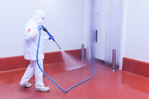 Best Solar Panel Cleaning  in Dunmore, PA