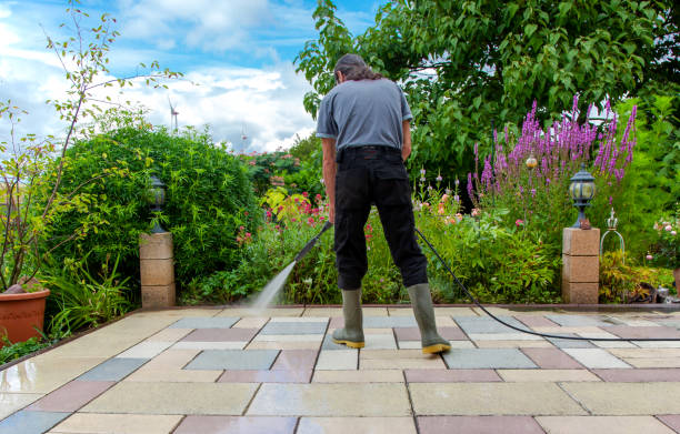 Best Sidewalk and Walkway Cleaning  in Dunmore, PA